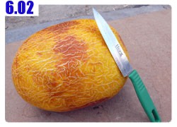 Hami Melon